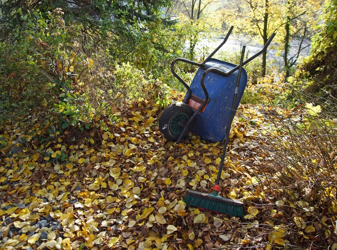 Tenet Nettoyage Entreprise De Nettoyage Lorient Entretien De Jardin