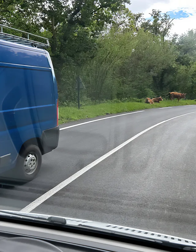 Tenet Nettoyage Entreprise De Nettoyage Lorient 34