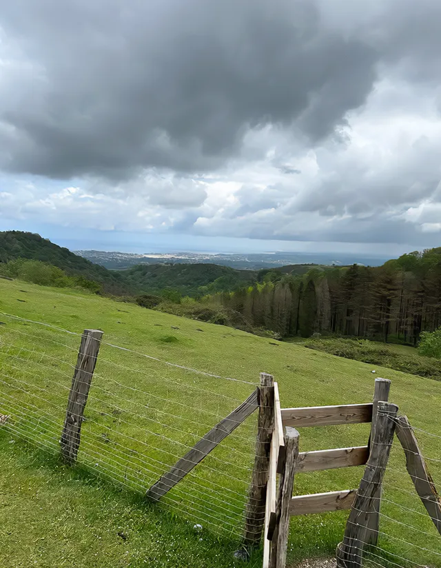 Tenet Nettoyage Entreprise De Nettoyage Lorient 35
